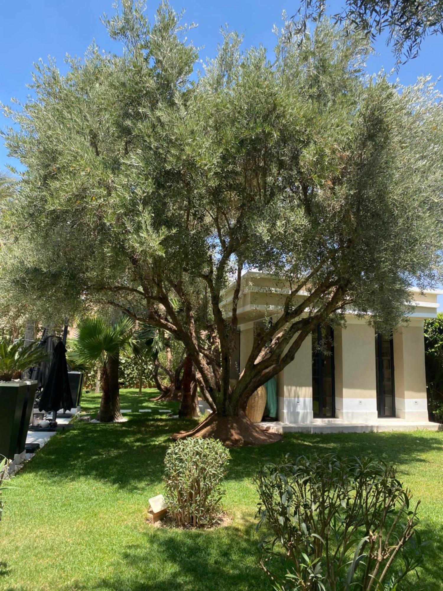 Villa Mano Lagouassem Kültér fotó